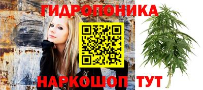 прущие крисы Жуковский