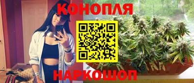 прущие крисы Жуковский