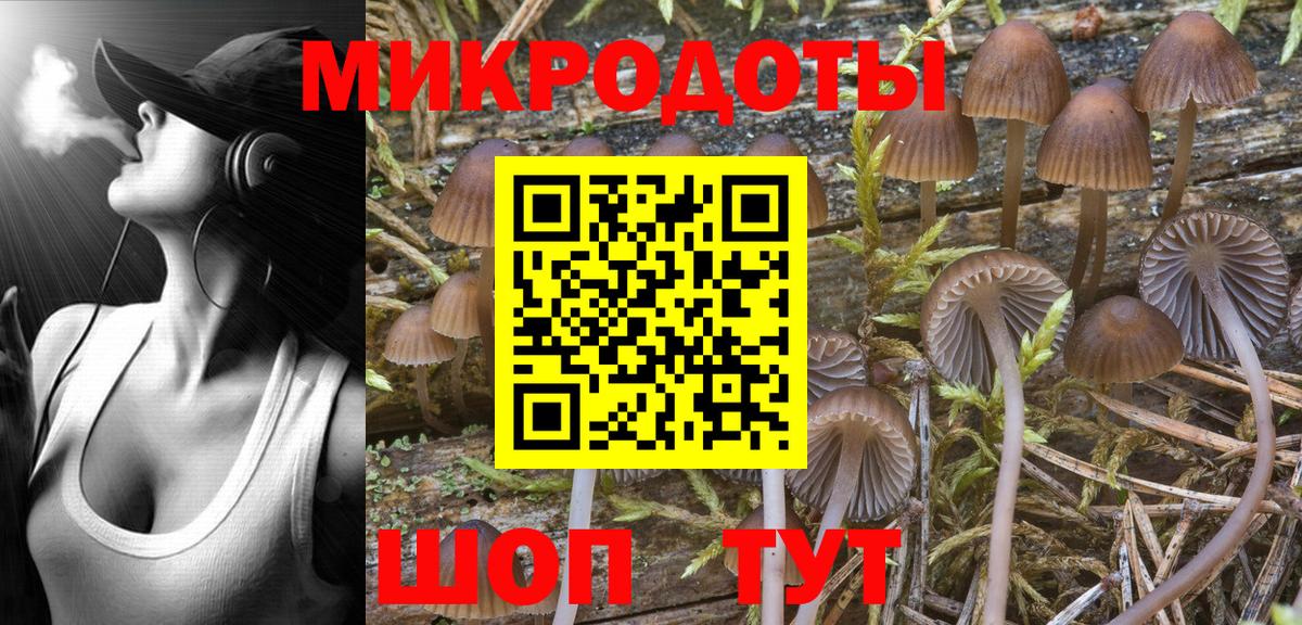 купить наркотики цена  Галлюциногенные грибы Psilocybine cubensis  Вход с VPN  Псилоцибиновые грибы прущие грибы  Междуреченск 