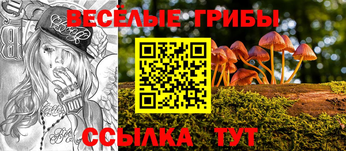 Галлюциногенные грибы Magic Shrooms Междуреченск